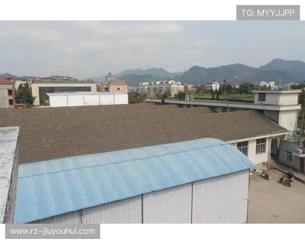 龙泉驿足球场土地使用权公开拍卖公告详情